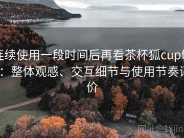 连续使用一段时间后再看茶杯狐cupfox：整体观感、交互细节与使用节奏评价