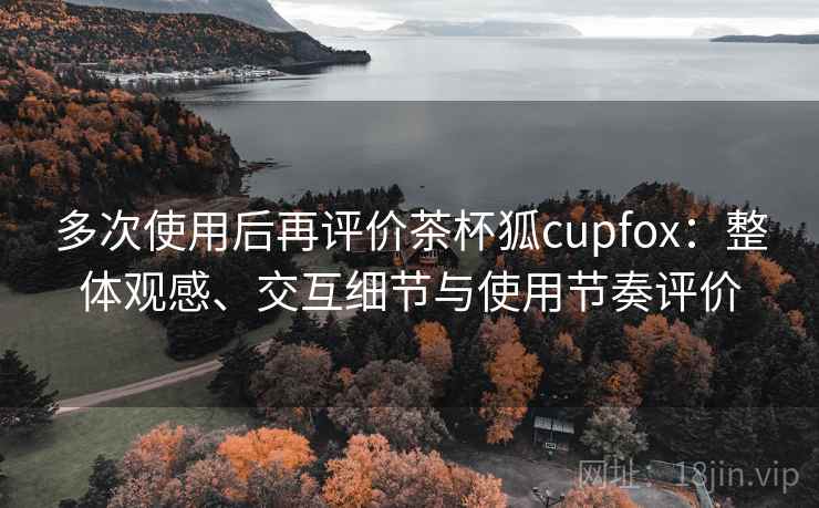 多次使用后再评价茶杯狐cupfox：整体观感、交互细节与使用节奏评价