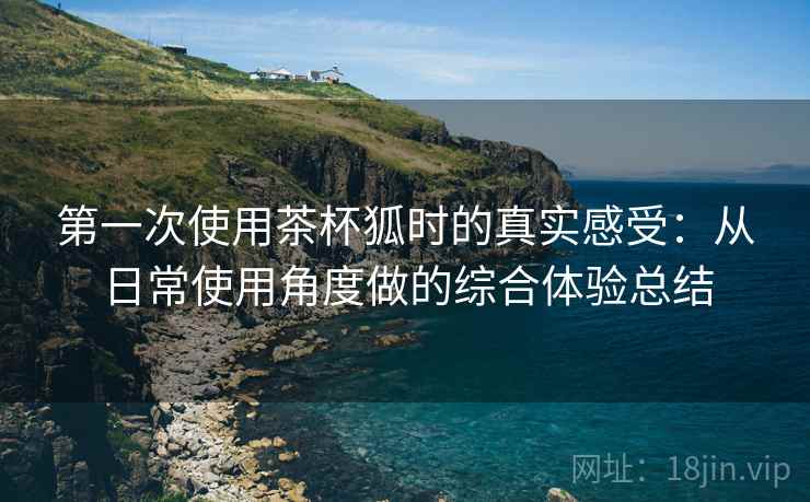 第一次使用茶杯狐时的真实感受:从日常使用角度做的综合体验总结 第一次使用茶杯狐时的真实感受:从日常使用角度做的综合体验总结
